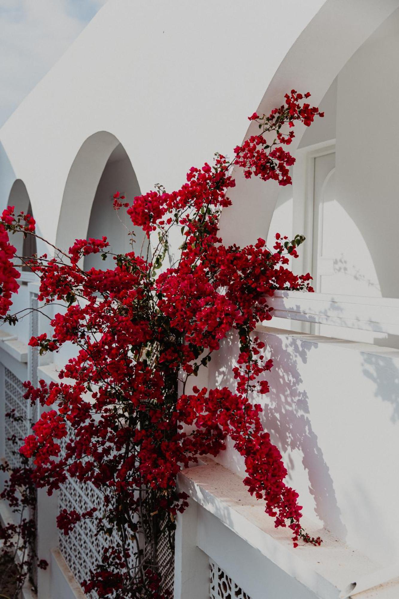 Hotel Bougainvillier Djerba Taguermess 외부 사진